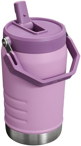 Stanley IceFlow Stainless Steel Tumbler - Vacuum Insulated Water Bottle for Home, Office or Car Reusable Cup with Straw Leak Resistant Flip Cold for 12 Hours or Iced for 2 Days, Mist, 30 OZ / 0.89 L