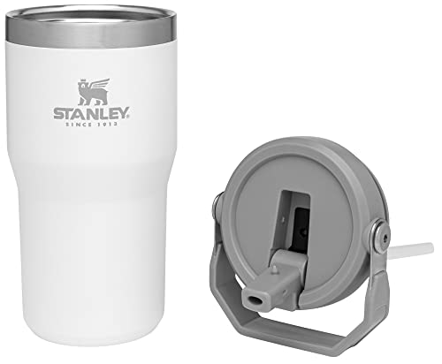 Stanley IceFlow Stainless Steel Tumbler - Vacuum Insulated Water Bottle for Home, Office or Car Reusable Cup with Straw Leak Resistant Flip Cold for 12 Hours or Iced for 2 Days, Mist, 30 OZ / 0.89 L