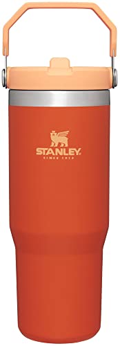Stanley IceFlow Stainless Steel Tumbler - Vacuum Insulated Water Bottle for Home, Office or Car Reusable Cup with Straw Leak Resistant Flip Cold for 12 Hours or Iced for 2 Days, Mist, 30 OZ / 0.89 L