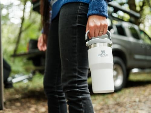 Stanley IceFlow Stainless Steel Tumbler - Vacuum Insulated Water Bottle for Home, Office or Car Reusable Cup with Straw Leak Resistant Flip Cold for 12 Hours or Iced for 2 Days, Mist, 30 OZ / 0.89 L