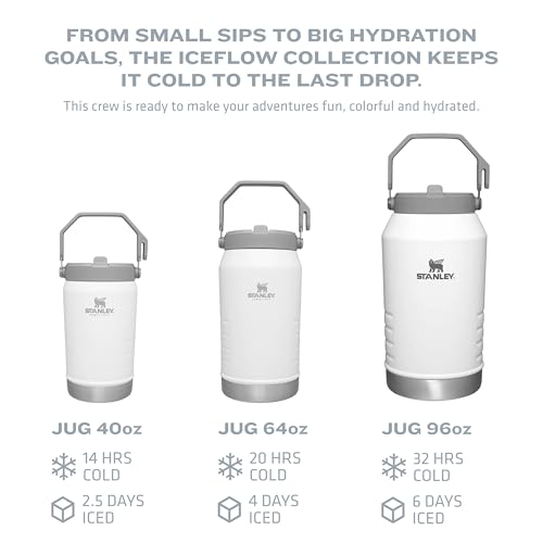 Stanley IceFlow Stainless Steel Tumbler - Vacuum Insulated Water Bottle for Home, Office or Car Reusable Cup with Straw Leak Resistant Flip Cold for 12 Hours or Iced for 2 Days, Mist, 30 OZ / 0.89 L
