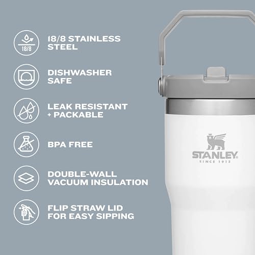 Stanley IceFlow Stainless Steel Tumbler - Vacuum Insulated Water Bottle for Home, Office or Car Reusable Cup with Straw Leak Resistant Flip Cold for 12 Hours or Iced for 2 Days, Mist, 30 OZ / 0.89 L
