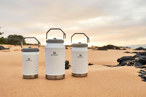 Stanley IceFlow Stainless Steel Tumbler - Vacuum Insulated Water Bottle for Home, Office or Car Reusable Cup with Straw Leak Resistant Flip Cold for 12 Hours or Iced for 2 Days, Mist, 30 OZ / 0.89 L