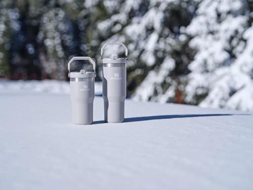 Stanley IceFlow Stainless Steel Tumbler - Vacuum Insulated Water Bottle for Home, Office or Car Reusable Cup with Straw Leak Resistant Flip Cold for 12 Hours or Iced for 2 Days, Mist, 30 OZ / 0.89 L