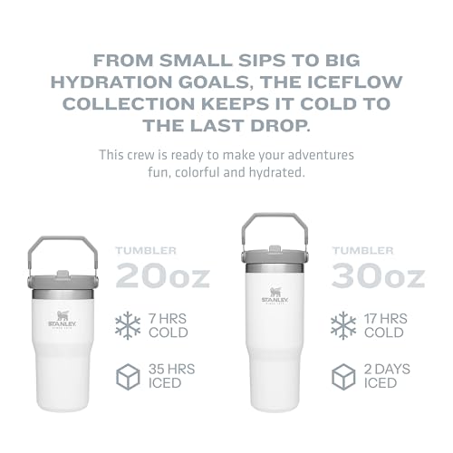 Stanley IceFlow Stainless Steel Tumbler - Vacuum Insulated Water Bottle for Home, Office or Car Reusable Cup with Straw Leak Resistant Flip Cold for 12 Hours or Iced for 2 Days, Mist, 30 OZ / 0.89 L