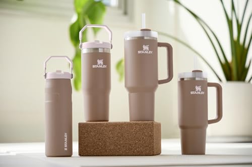 Stanley IceFlow Stainless Steel Tumbler - Vacuum Insulated Water Bottle for Home, Office or Car Reusable Cup with Straw Leak Resistant Flip Cold for 12 Hours or Iced for 2 Days, Mist, 30 OZ / 0.89 L