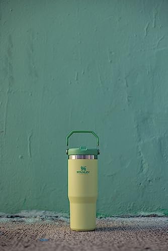Stanley IceFlow Stainless Steel Tumbler - Vacuum Insulated Water Bottle for Home, Office or Car Reusable Cup with Straw Leak Resistant Flip Cold for 12 Hours or Iced for 2 Days, Mist, 30 OZ / 0.89 L