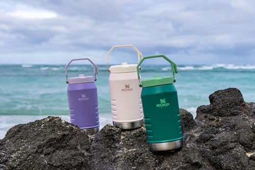 Stanley IceFlow Stainless Steel Tumbler - Vacuum Insulated Water Bottle for Home, Office or Car Reusable Cup with Straw Leak Resistant Flip Cold for 12 Hours or Iced for 2 Days, Mist, 30 OZ / 0.89 L
