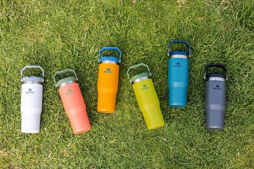 Stanley IceFlow Stainless Steel Tumbler - Vacuum Insulated Water Bottle for Home, Office or Car Reusable Cup with Straw Leak Resistant Flip Cold for 12 Hours or Iced for 2 Days, Mist, 30 OZ / 0.89 L
