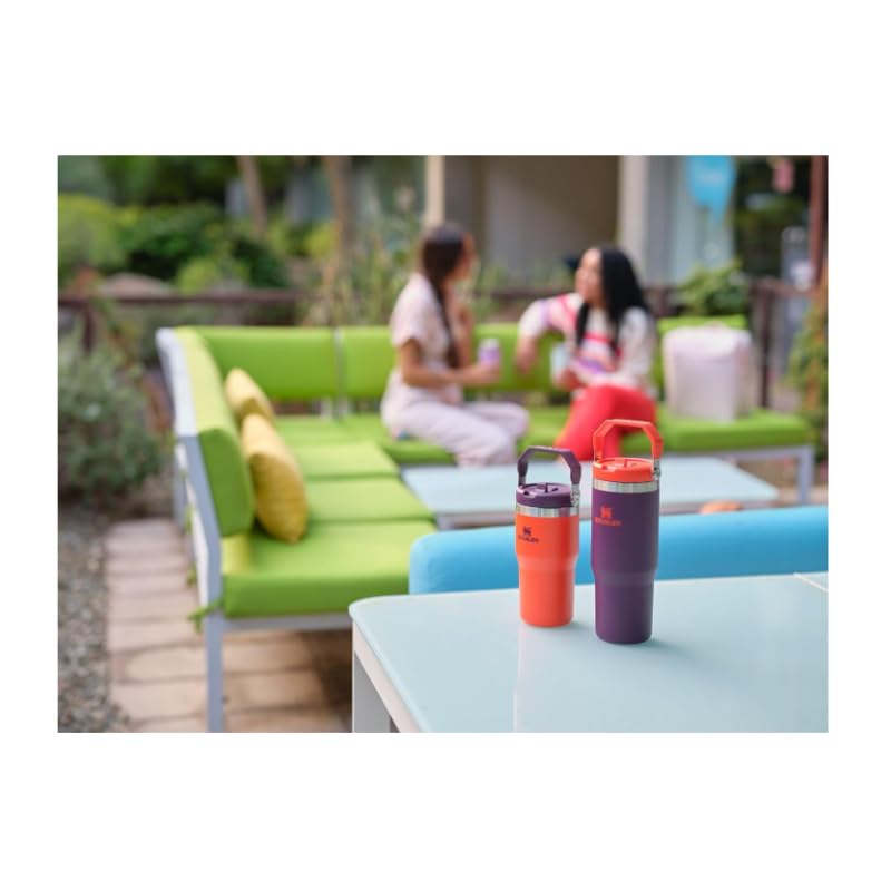 Stanley IceFlow Stainless Steel Tumbler - Vacuum Insulated Water Bottle for Home, Office or Car Reusable Cup with Straw Leak Resistant Flip Cold for 12 Hours or Iced for 2 Days, Mist, 30 OZ / 0.89 L